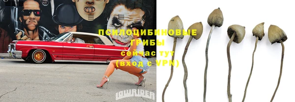 круглые Армянск