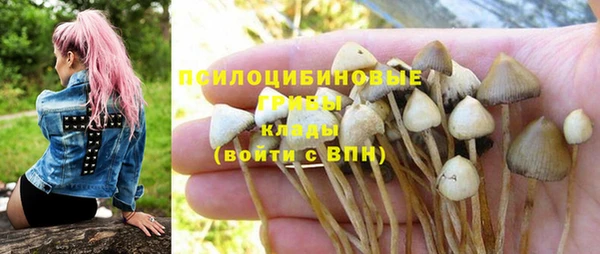 круглые Армянск